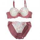 【女装サイズ】 プリンセス系 バタフライ柄のブラショーツセット レッド